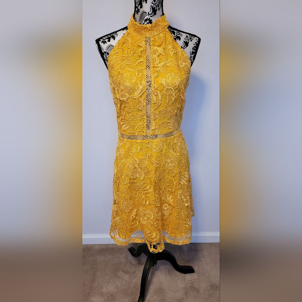 Alexia Admor Lace Overlay Dress NWT
